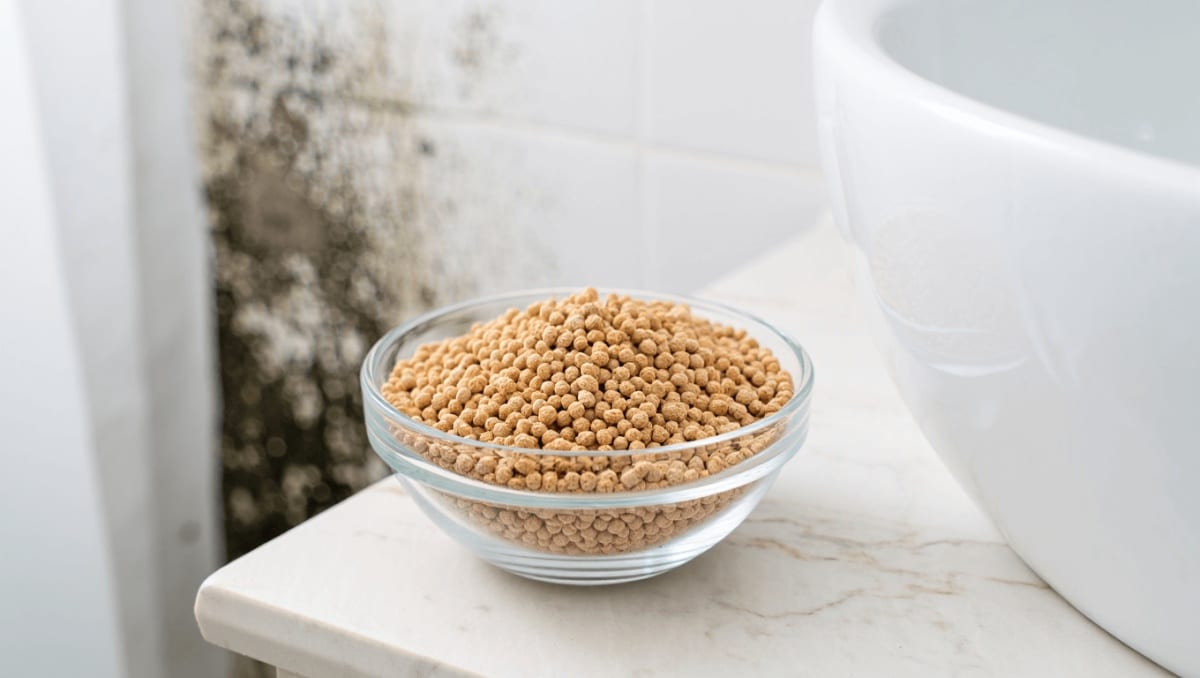 Is Cat Litter Actually A Good Dehumidifier? We Put It To The Test