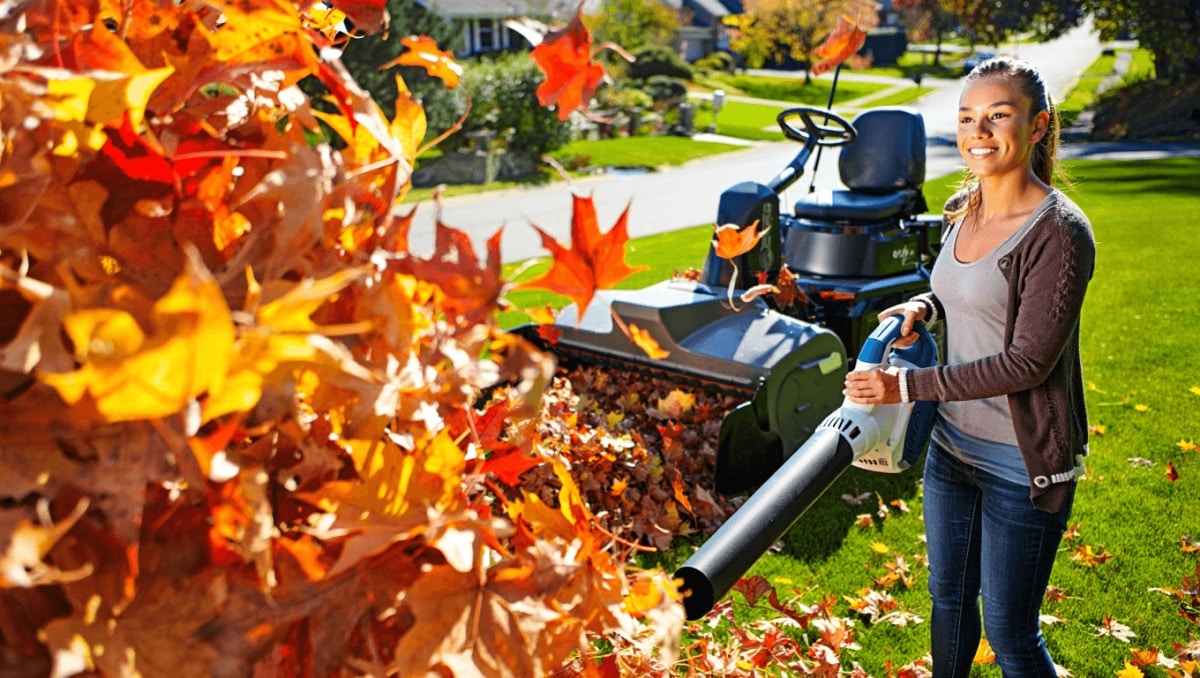 Ditch The Rakes: 5 Smarter, Easier Ways To Clean Up Fallen Leaves In Your Yard