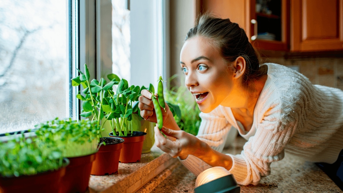 Grow This Versatile Veggie In Your Kitchen All winter—It's Easier Than You Think