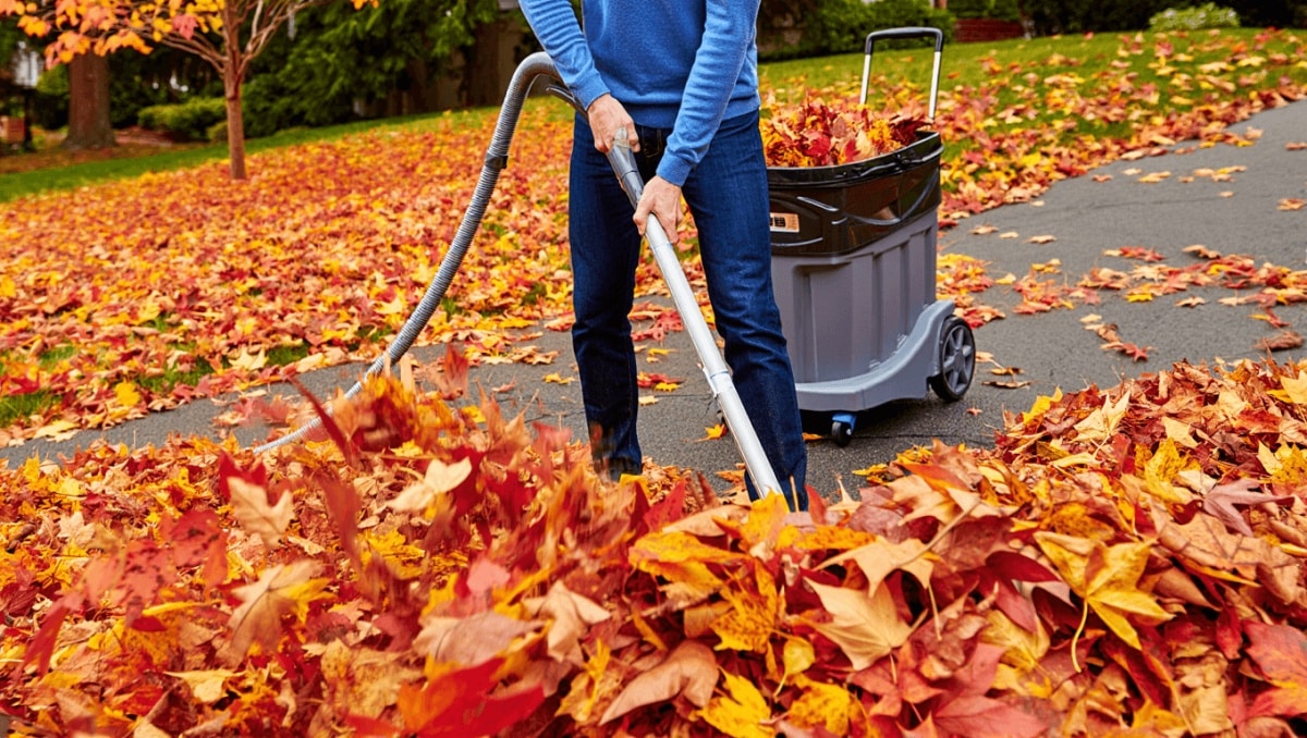 This Handy Leaf Blower Alternative Makes Cleaning Up Fallen Leaves A Breeze