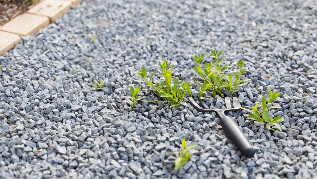 The Affordable Solution That Prevents Weeds From Sprouting Through Gravel