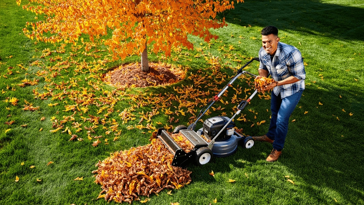 Forget Rakes: There's A Better (And Easier) Way To Remove Leaves From Your Yard