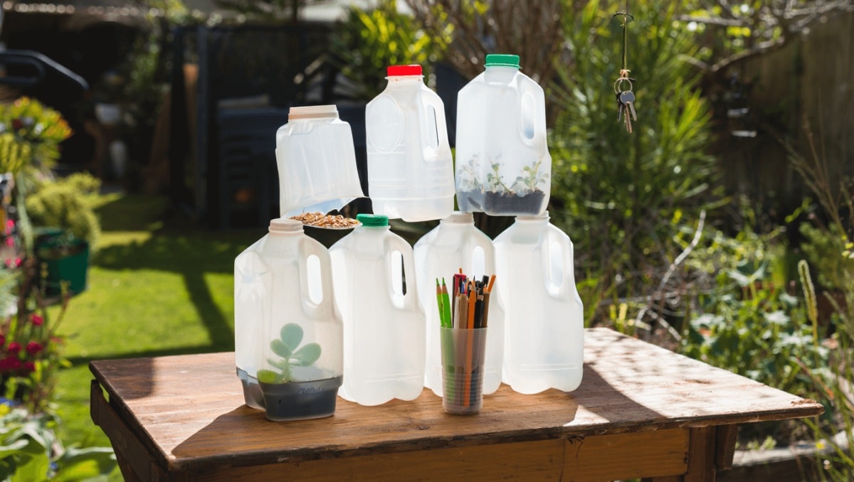 20 Smart Ways To Reuse Milk Jugs: You'll Wonder Why You Didn't Think Of These Sooner