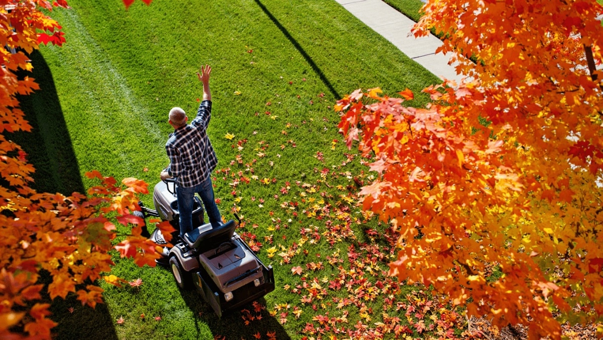 Stop Mowing Your Lawn At This Time Before Winter For A Healthier Yard In Spring