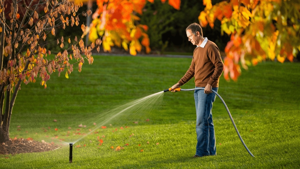 The Best Time To Stop Watering Your Lawn This Fall For A Healthy, Green Spring