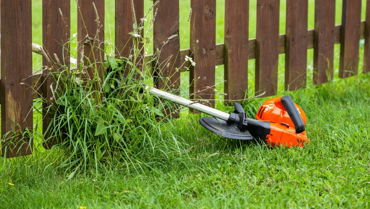 The Best Way To Control Pesky Weeds That Are Growing Close To A Fence