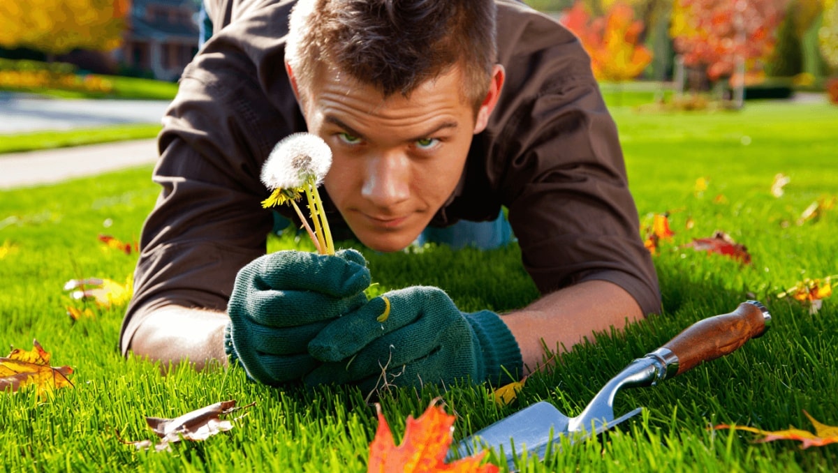 Fall Is The Best Time To Control These Stubborn weeds—Here's How