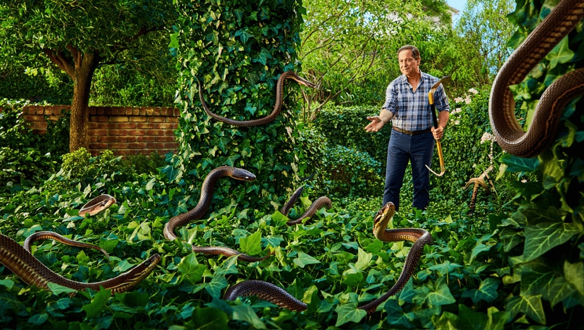 Homeowner Warns Others To Avoid Invasive Snake-Attracting Plant: 'It Will Take Over'