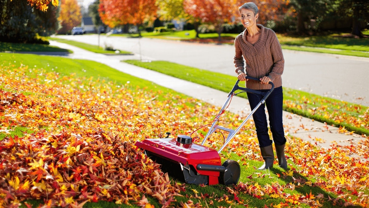 Say Goodbye To Rakes: This Neat Tool Makes Cleaning Up Leaves Faster And Easier