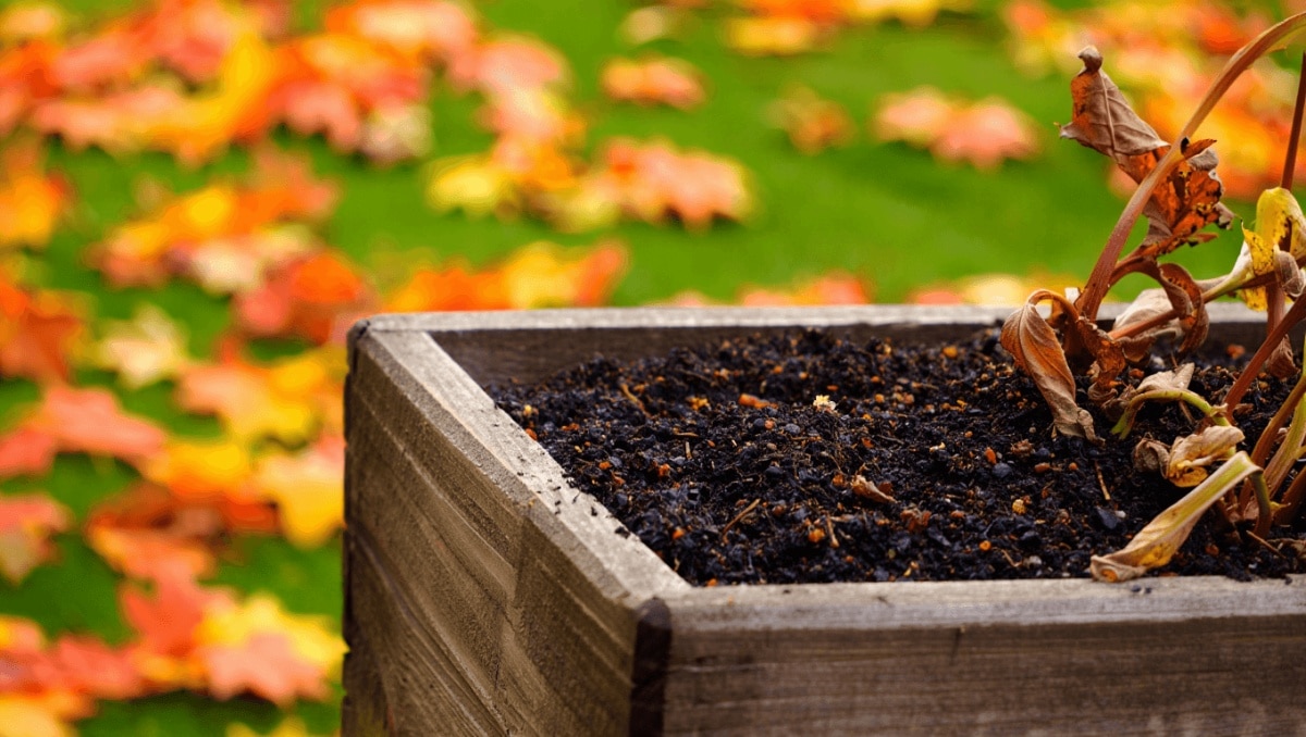 Don't Throw Out Your Old Potting Soil In The Fall Without Knowing This