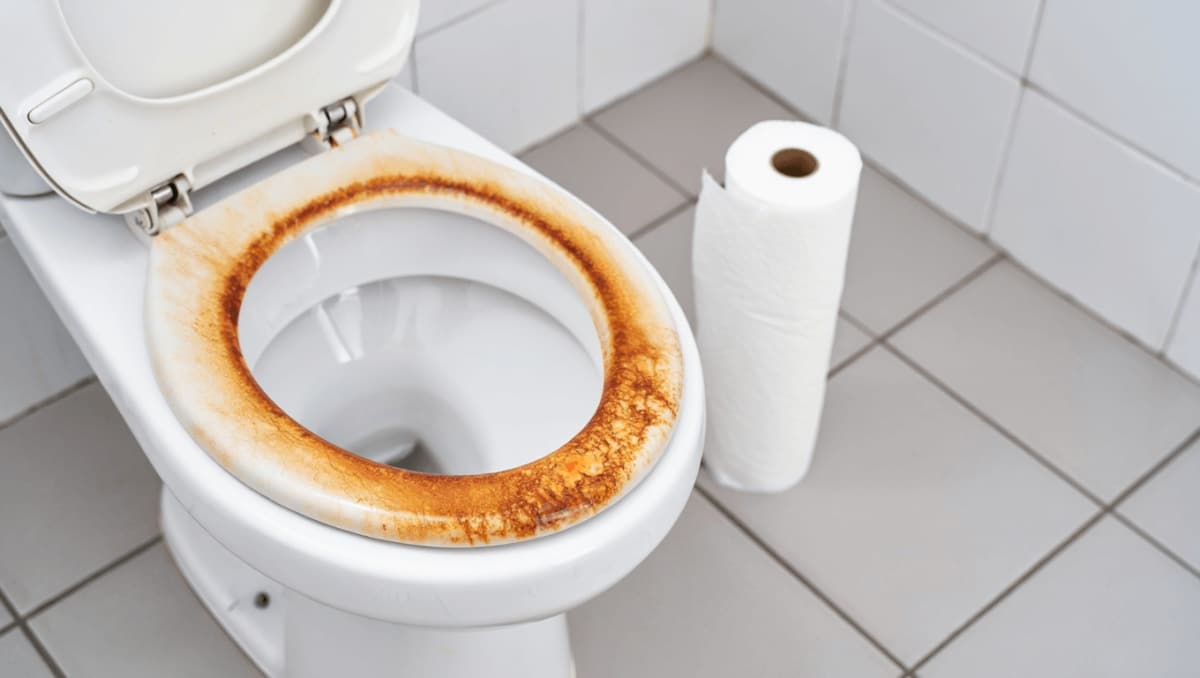 The Genius Paper Towel Hack You Need For A Sparkling Clean Toilet Bowl