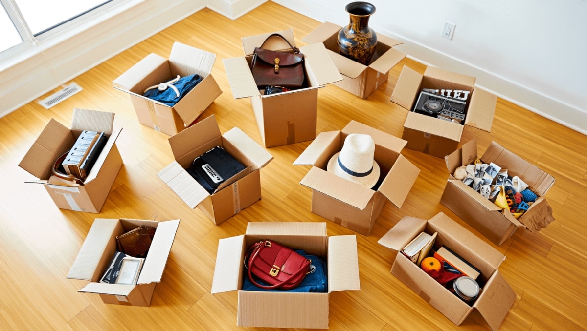 12 Things To Avoid Storing In Cardboard Boxes At All Costs