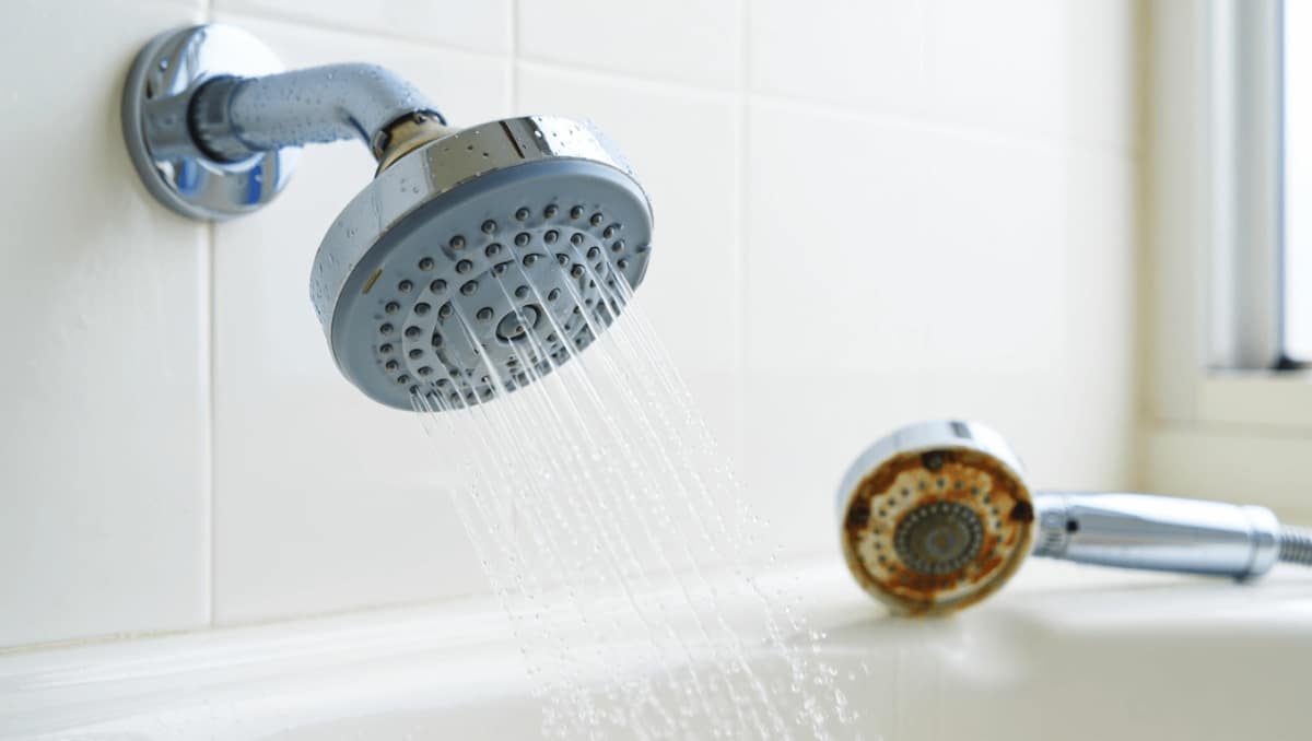 Let Your Showerhead Clean Itself: The Effortless Hack For Sparkling Results