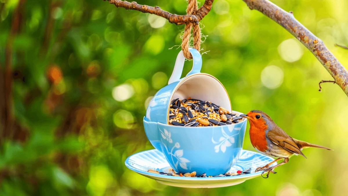 Transform An Old Teacup And Saucer Into A Cute Bird Feeder With A Vintage Twist