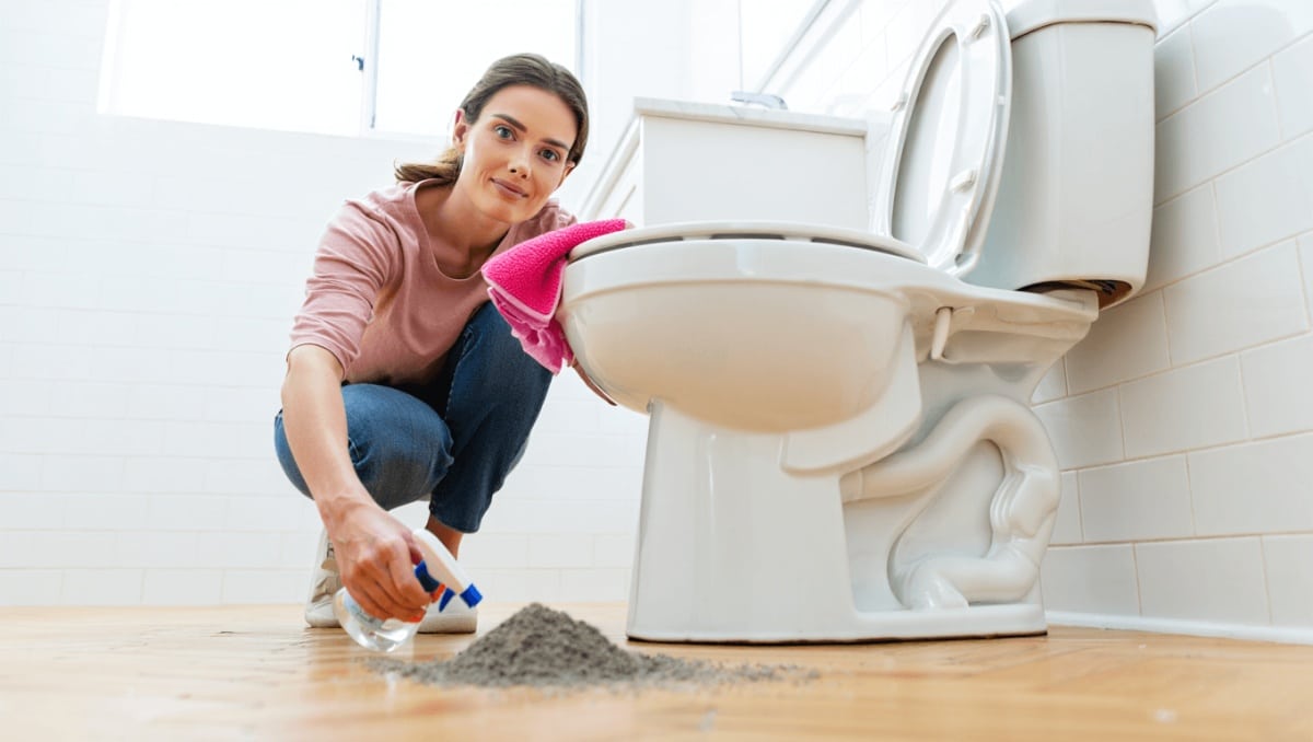 Woman Demonstrates Quick Trick For Cleaning Behind The Toilet: 'This Is A Great Tip!'