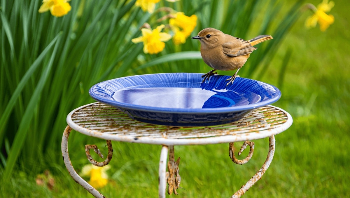 Reuse Two Ordinary Thrift Store Finds To DIY A Cute Birdbath On A Budget