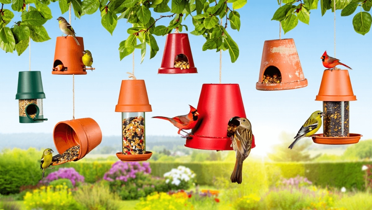 Old Plant Pots: 8 Ideas To Create Clever DIY Bird Feeders For Your Garden!