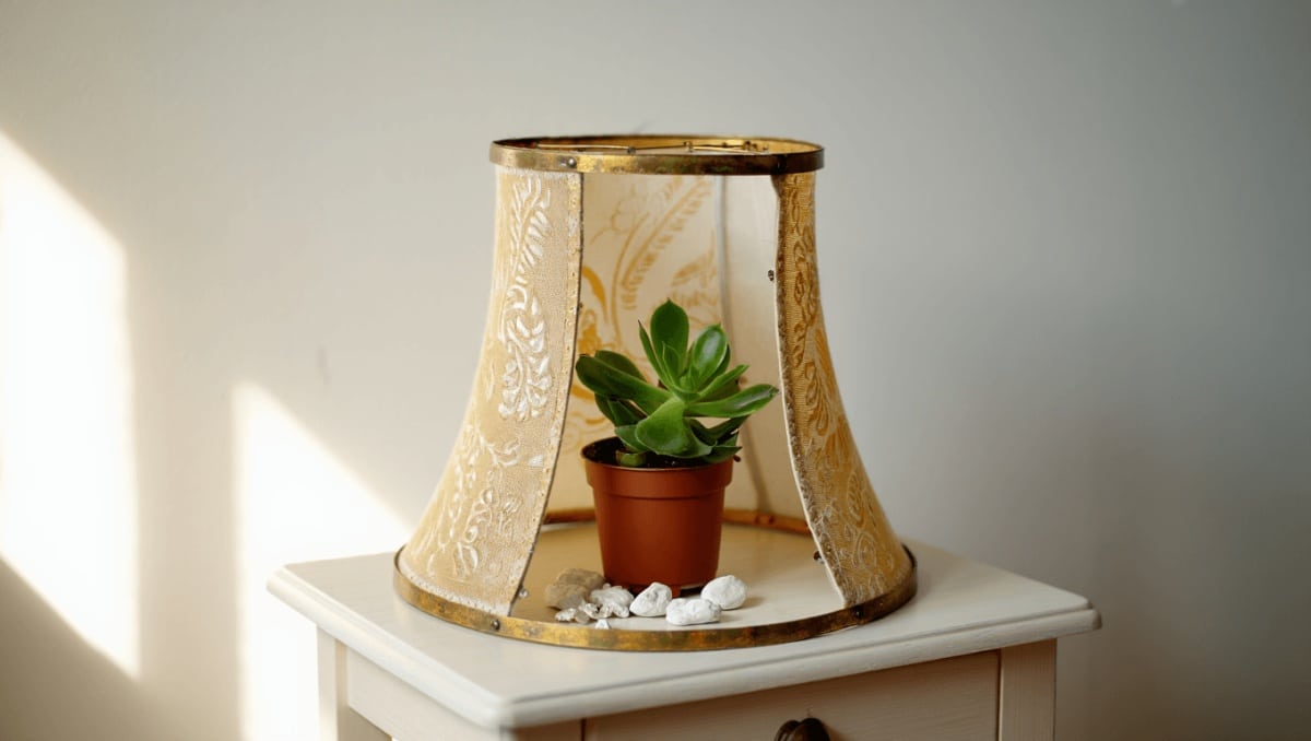 Give An Old Lampshade A Second Life With This Genius Idea For Indoor Plants