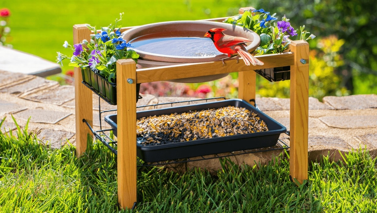 The Birdbath On Amazon That Also Feeds Birds And Grows Gorgeous Flowers