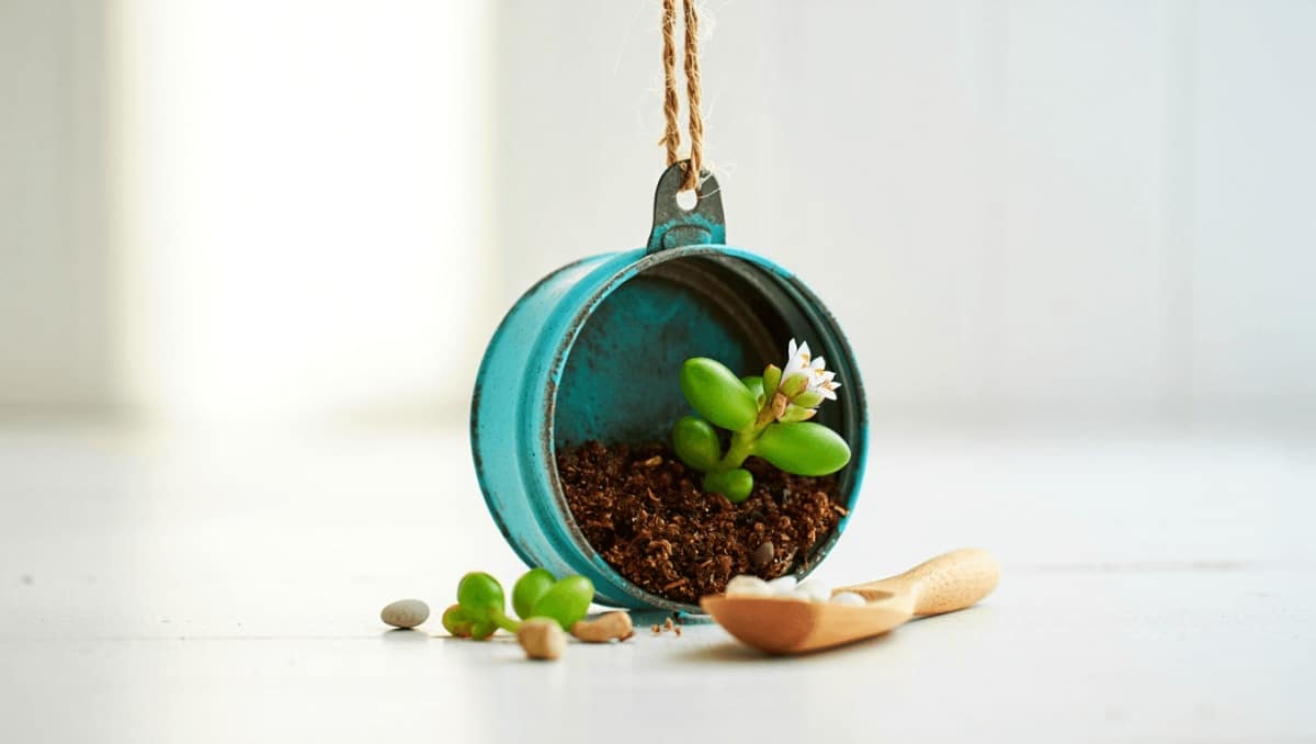 Turn The Lid From An Old Glass Jar Into A Cute Decorative Planter