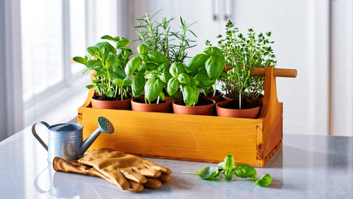 This Budget-Friendly IKEA DIY Is The Cutest Way To Grow Herbs In A Small Space