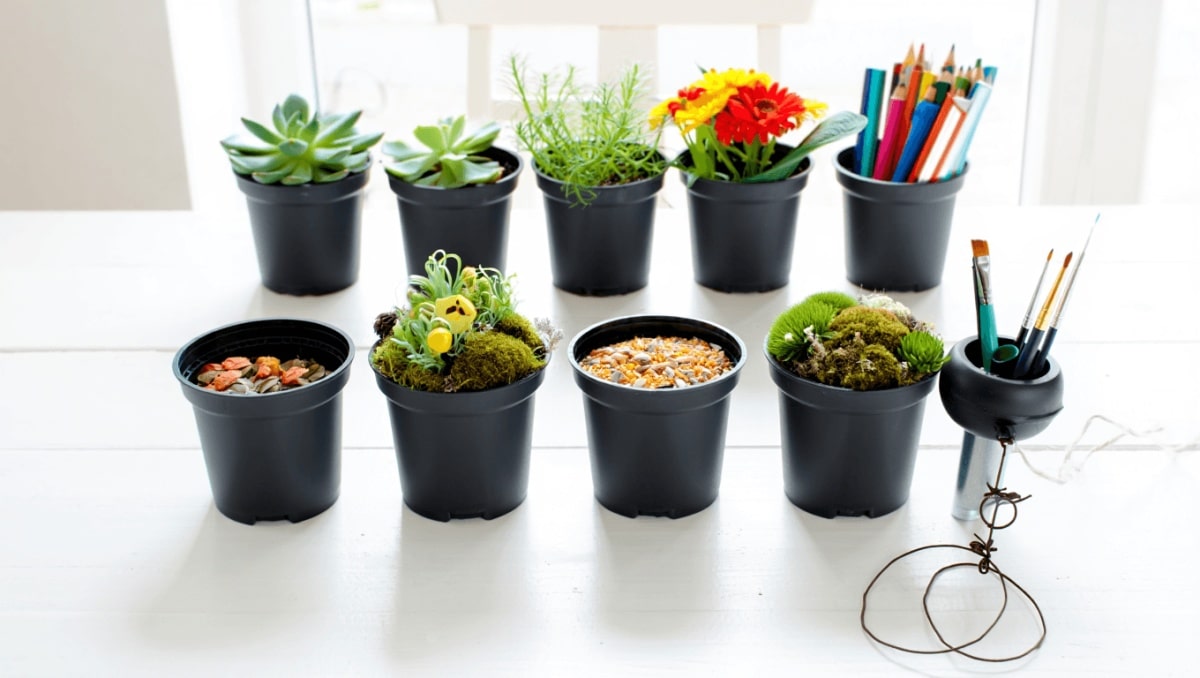 Don't Let Your Plastic Nursery Pots End Up In A Landfill – Do This Instead