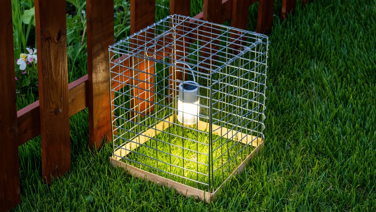 Transform An Old Tomato Cage Into Unique Light-Up Patio Decor