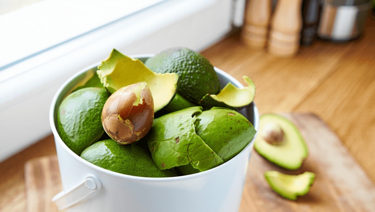 Neither Eggshells Nor Banana Peels — This Food Scrap Belongs In Your Compost Too