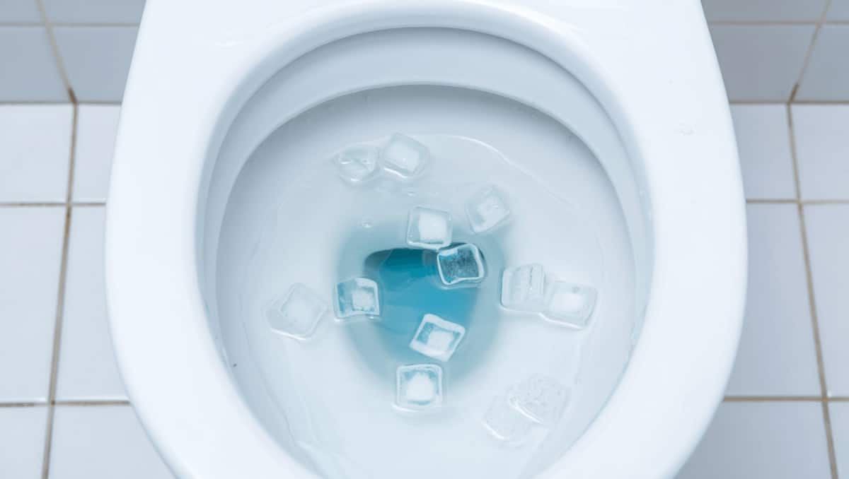 Putting Ice Cubes In The Toilet: What It Does And Why People Are Doing It