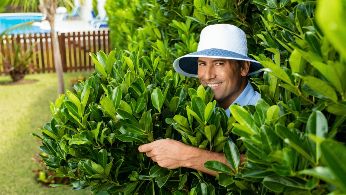 Florida Gardeners Love This Fast-Growing Plant For Creating A More Private Backyard