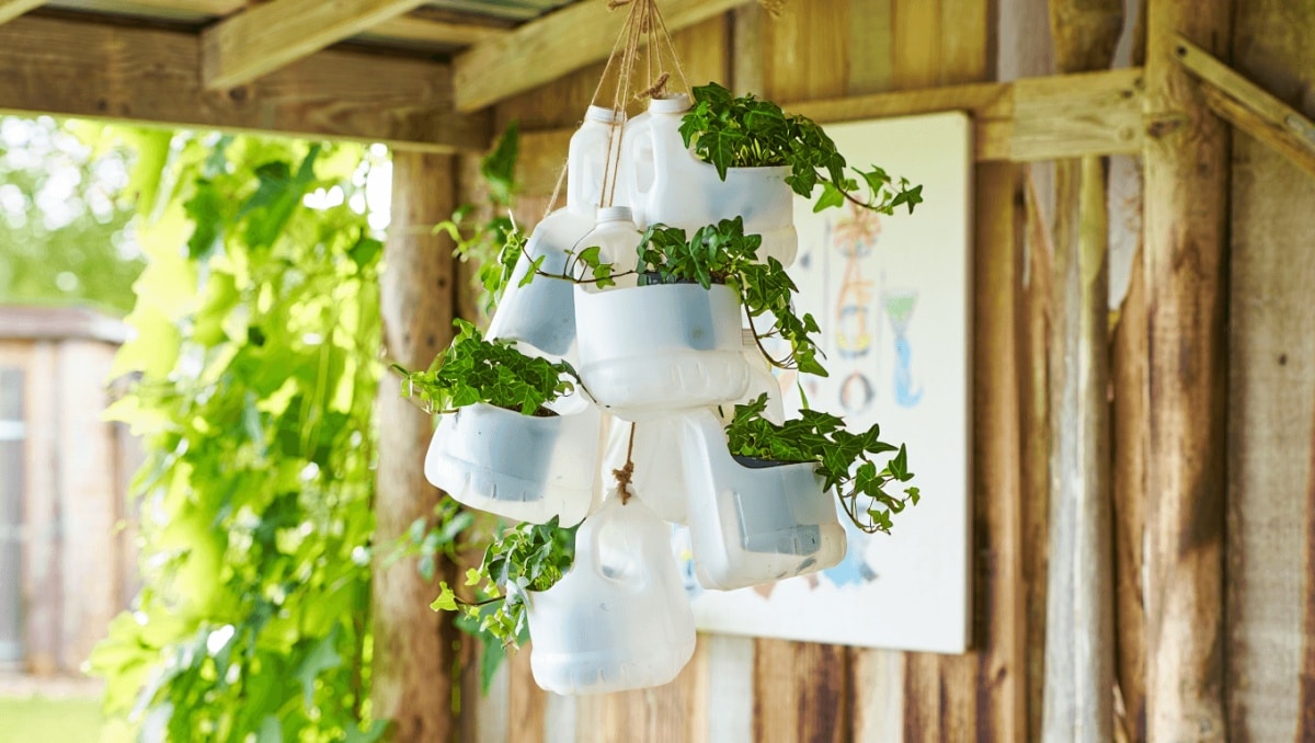 Stop Tossing Empty Milk Jugs — Transform Them Into Clever Hanging Planters