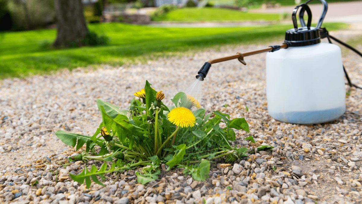 The Overlooked Solution To Keep Weeds Out Of Gravel Before It's A Problem