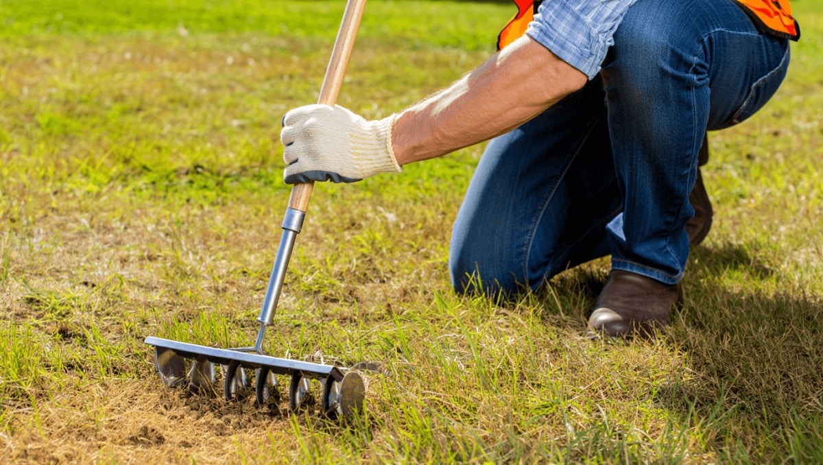 Ditch The Pricey Tools: Aerate Your Lawn With A DIY Solution That Costs Less