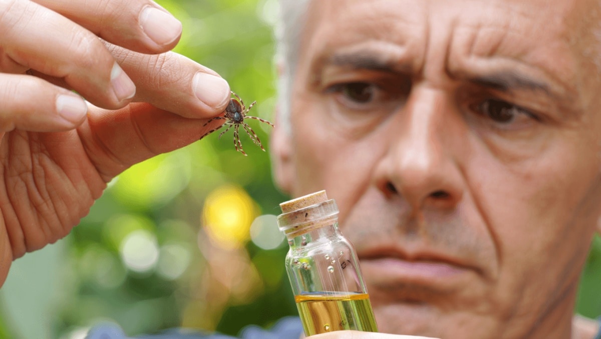 How To Repel Ticks Using Two Botanical Essential Oils