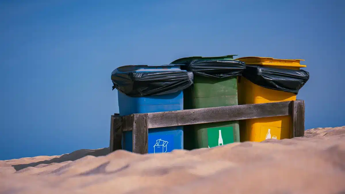 Hazardous household items sorted into labeled containers for safe disposal