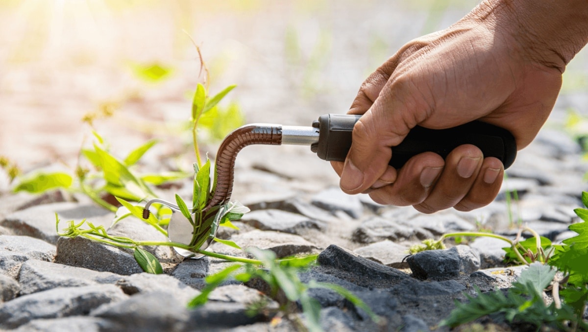 Easily Remove Weeds From Gravel Driveways With A Snake-Like Tool From Amazon