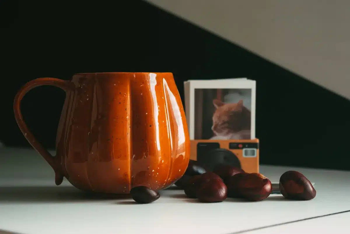 Cozy autumn living room with plaid pillows, knit blankets, and seasonal decor in warm tones