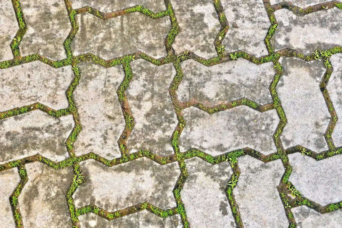 Assortment of interlocking concrete pavers in various colors, shapes, and finishes
