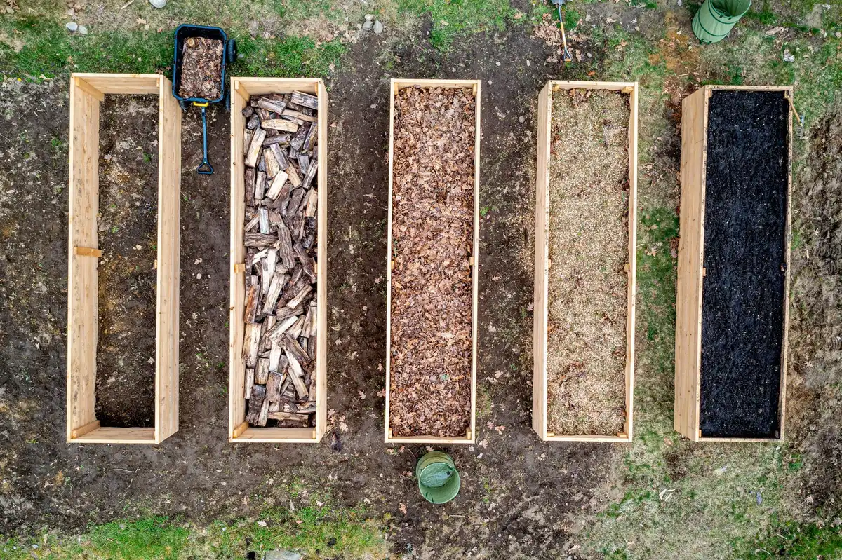 Wooden raised garden beds filled with soil and flowering plants in a sunny backyard