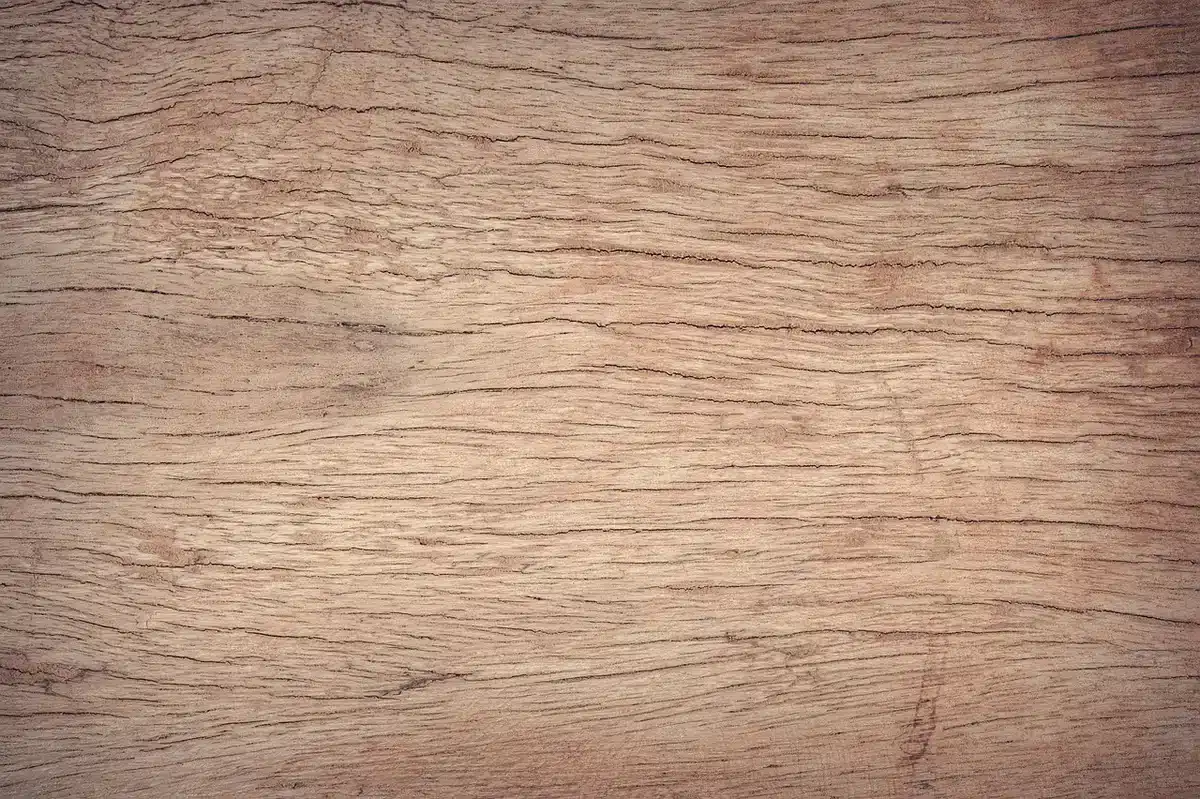 Close-up of different wood samples showing various grain patterns and finishes