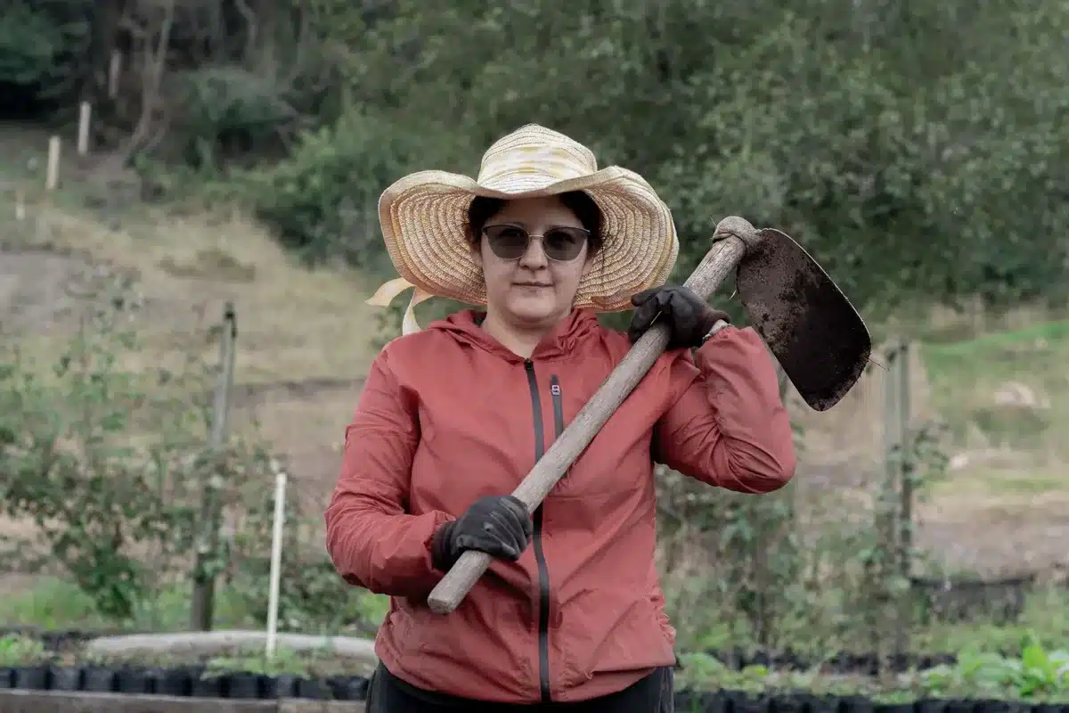 Scuffle hoe with looping blade positioned on gravel surface ready to slice weeds