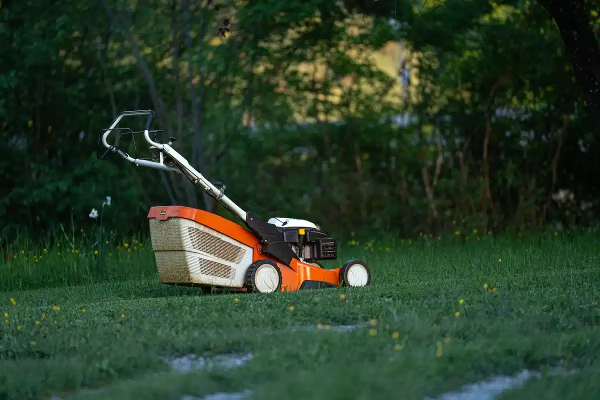 Lawn mowers on sale display during autumn clearance season with discount signs