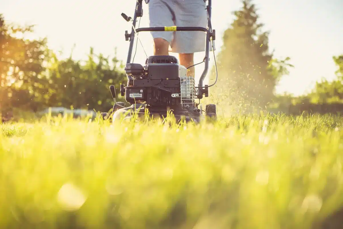 Someone using proper technique while pushing a manual reel mower across lawn