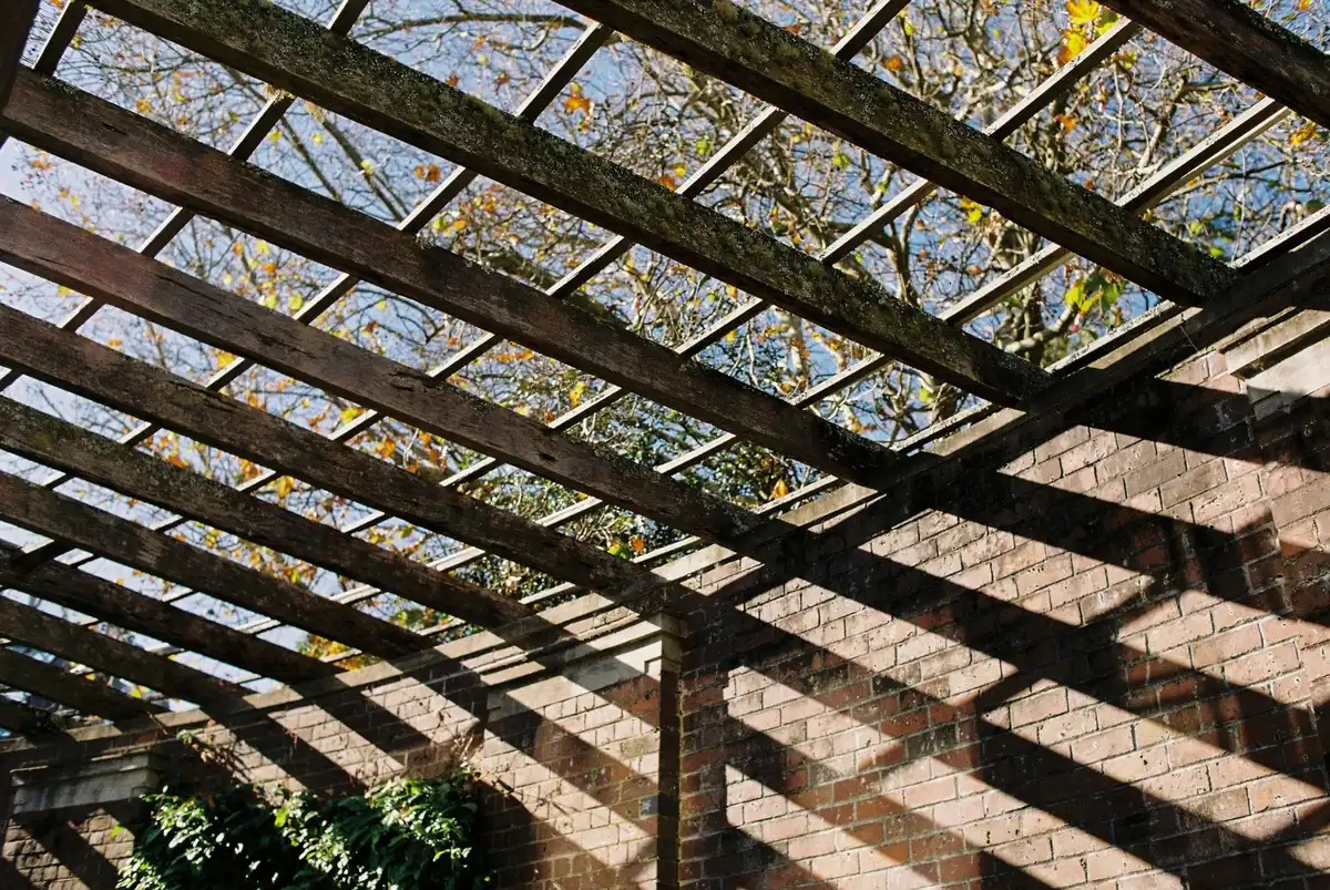 Wooden pergola structure casting dappled shadows over a tranquil patio seating area