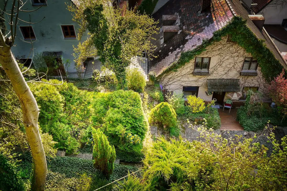Overgrown garden beds and cluttered yard areas where snakes hide.