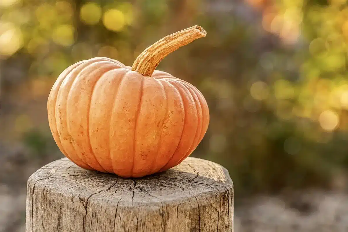 Colorful Halloween-themed decorative pillows, rugs, and ceramic pumpkins arranged on a neutral surface
