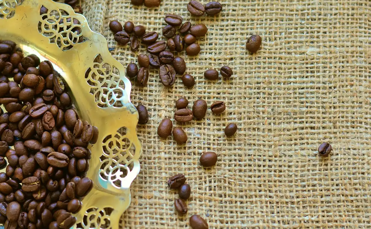 Burlap coffee sack fabric clipped to a curtain rod in a sunny kitchen window