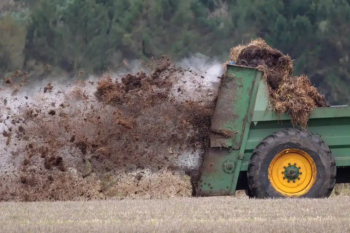 A broadcast spreader applying fertilizer evenly across a residential lawn