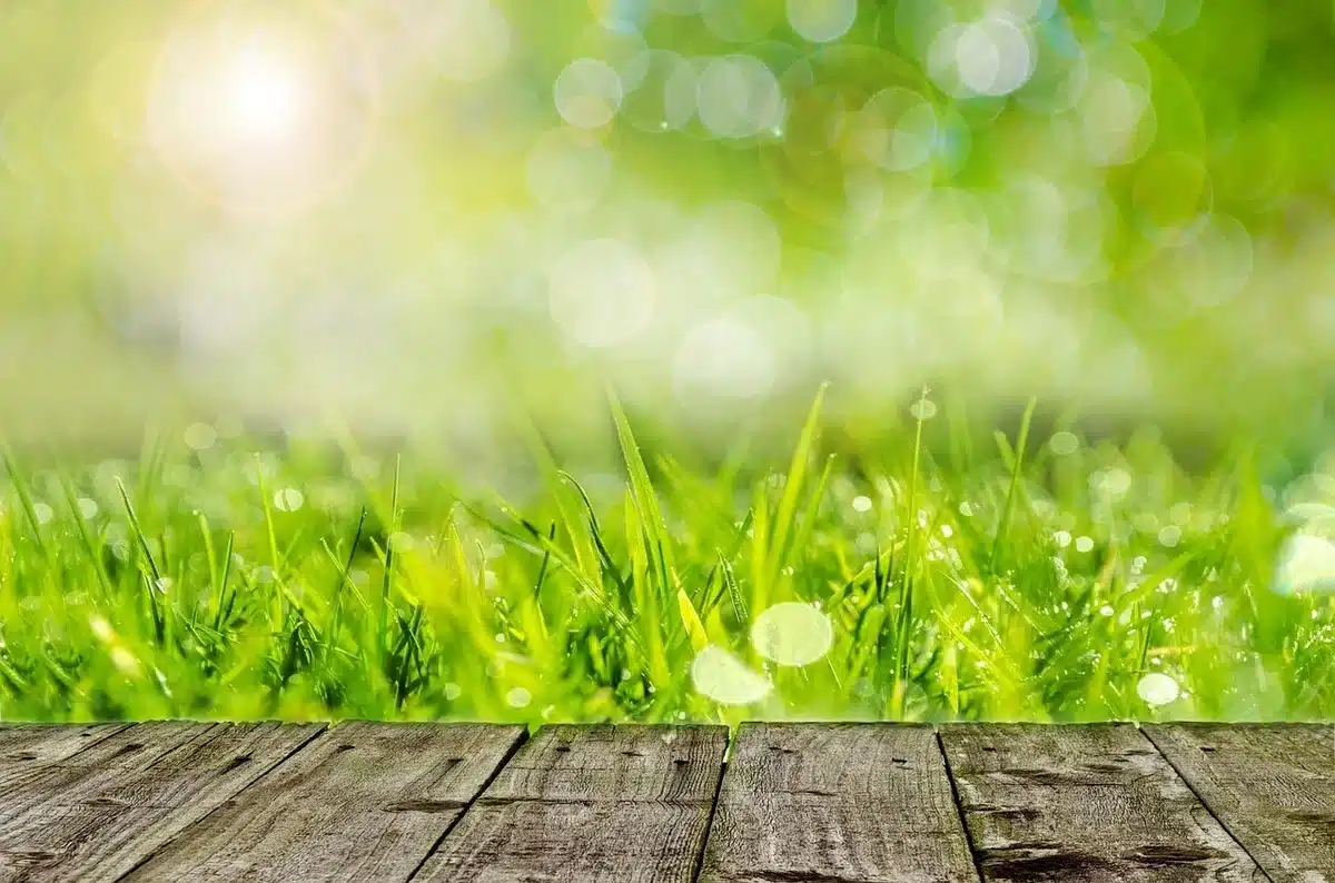 Wooden plank and rake on uneven grass with soil patches ready for leveling