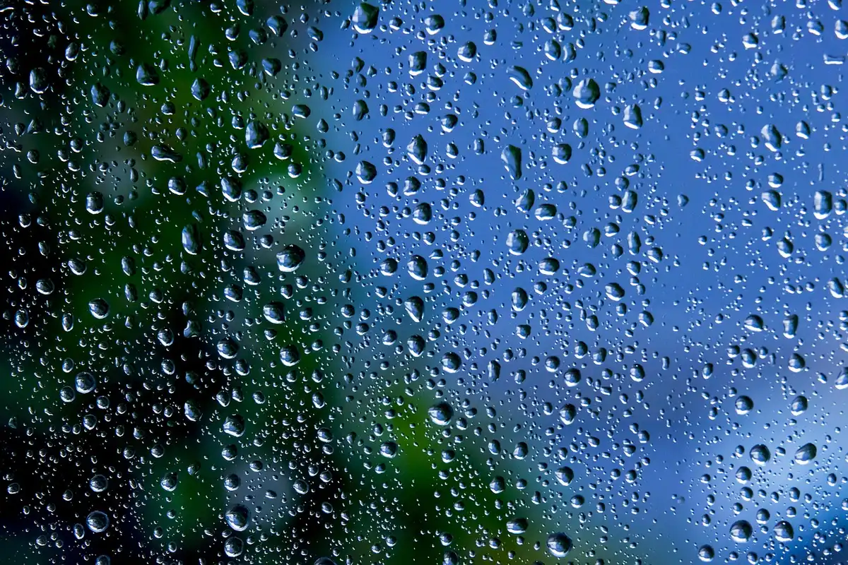Water percolating through porous asphalt surface during rainfall, showing drainage advantage over traditional pavement